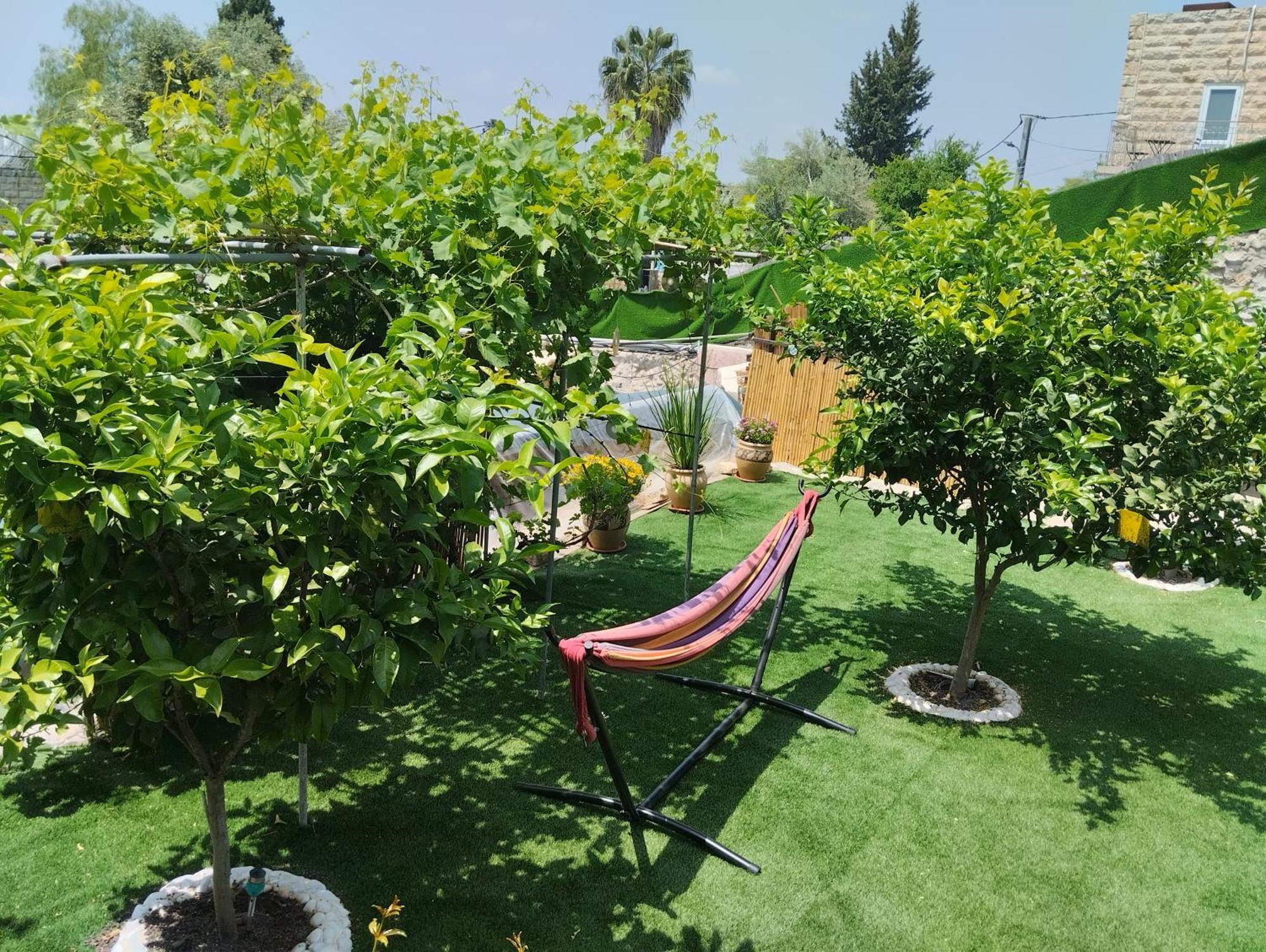 קסם עין כרם Apartment เยรูซาเลม ภายนอก รูปภาพ